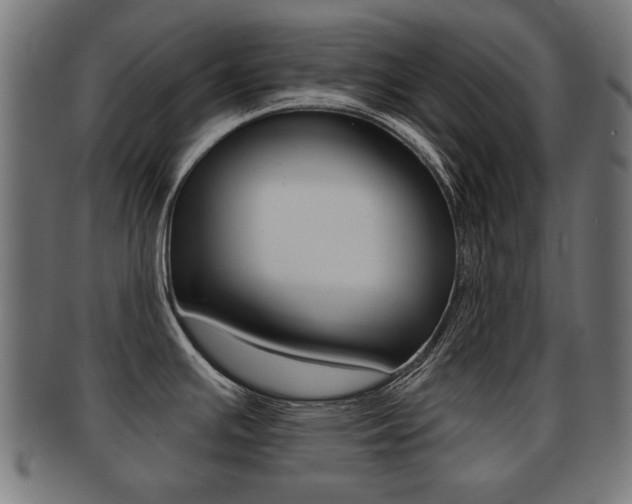 X0000091991391200709061212