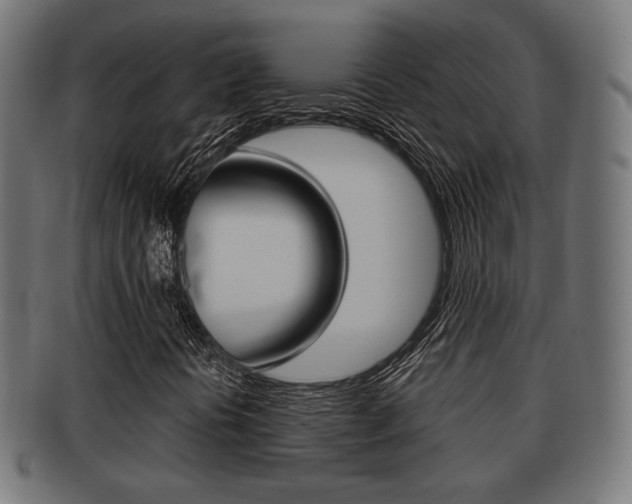 X0000091991394200709061211