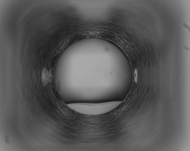 X0000091991395200709061211