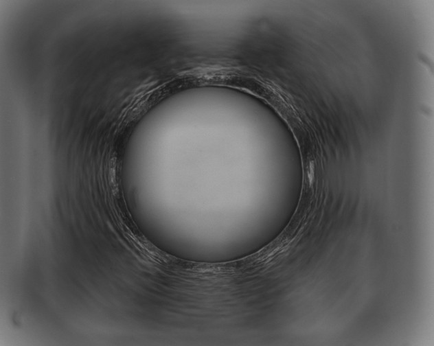X0000091991396200709061211