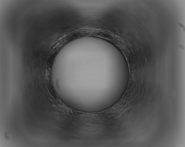 X0000091991397200709061211