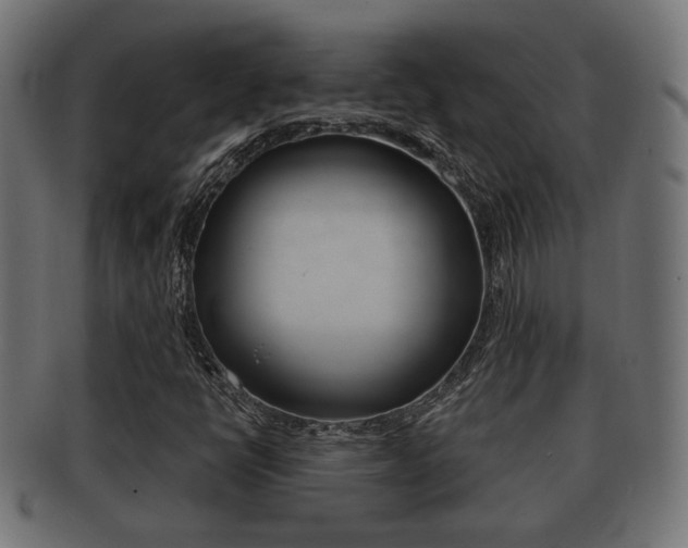 X0000091991398200709061211