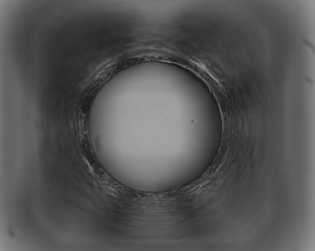 X0000091991399200709061211