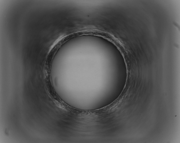 X0000091991400200709061211