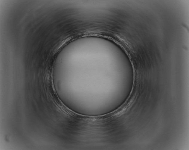 X0000091991401200709061211