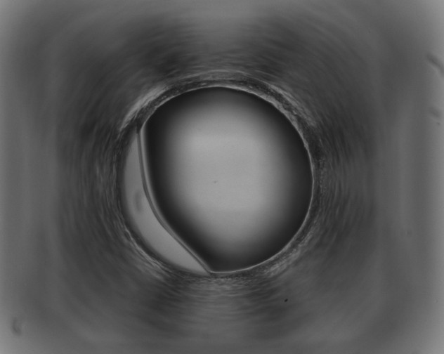 X0000091991402200709061211