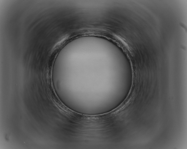 X0000091991403200709061211