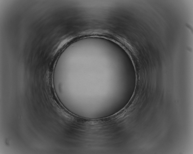 X0000091991404200709061211