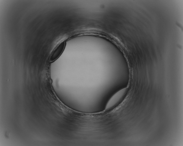 X0000091991405200709061211