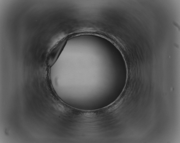 X0000091991406200709061211