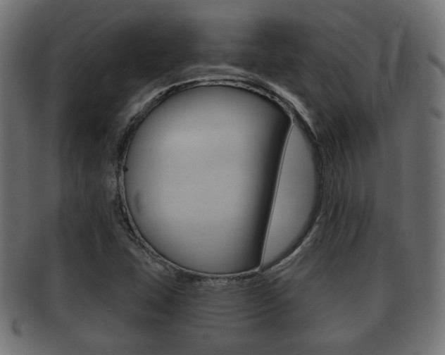 X0000091991407200709061211