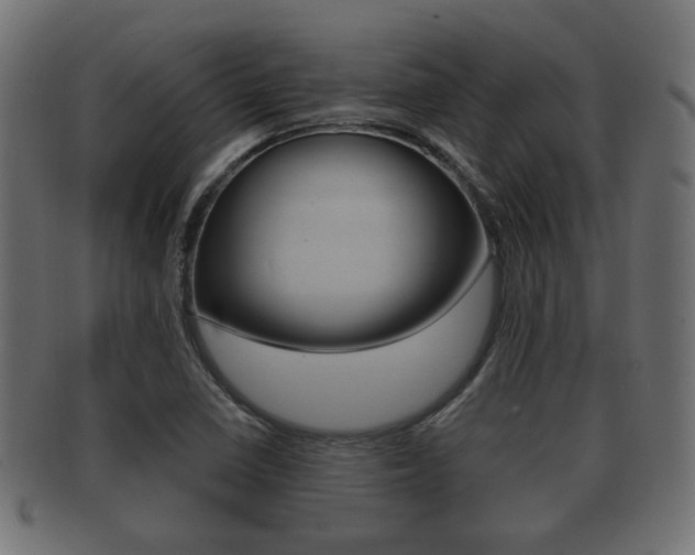 X0000091991410200709061211