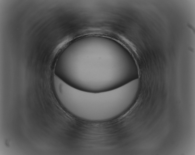 X0000091991411200709061211