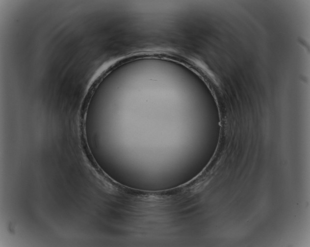 X0000091991412200709061211