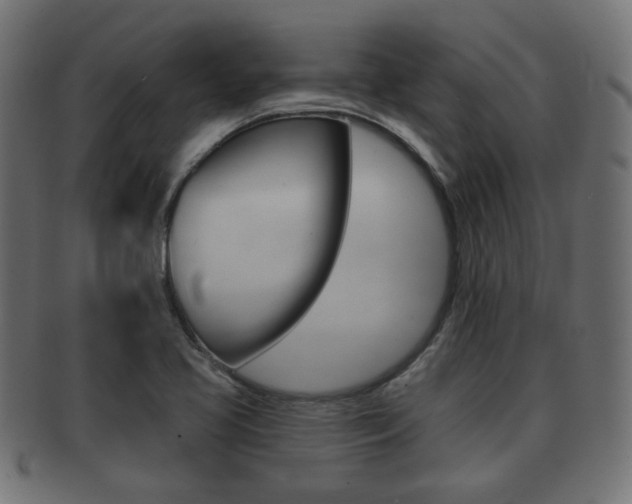 X0000091991413200709061211