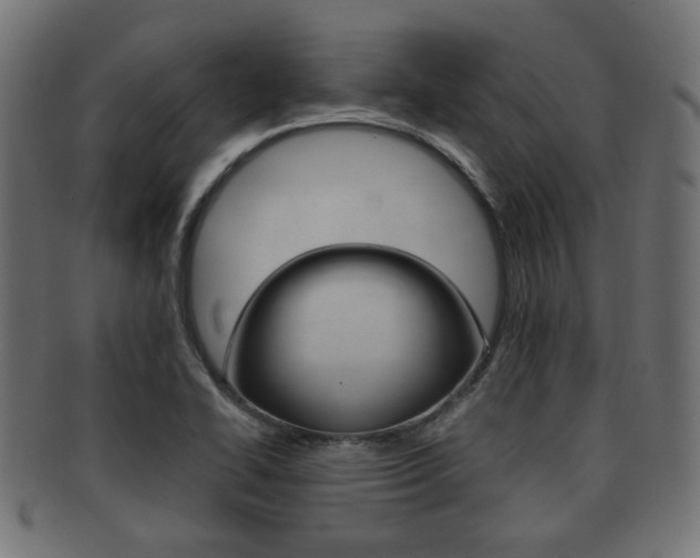 X0000091991414200709061211