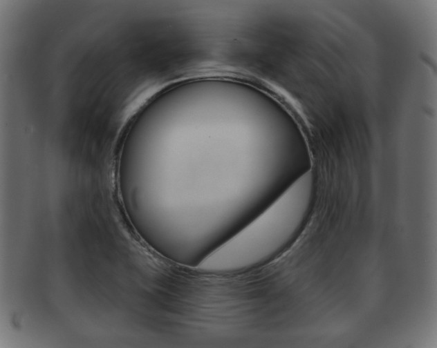 X0000091991415200709061211