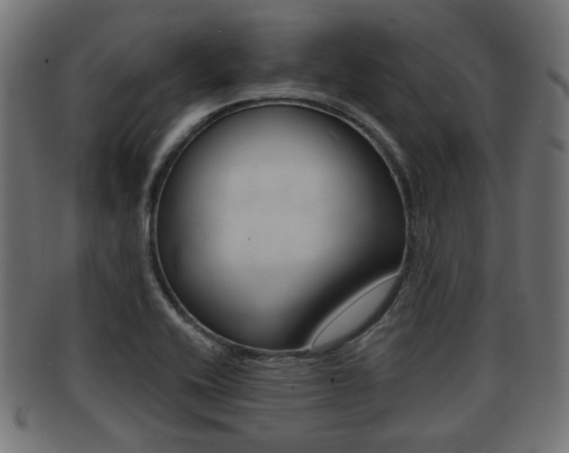 X0000091991416200709061211