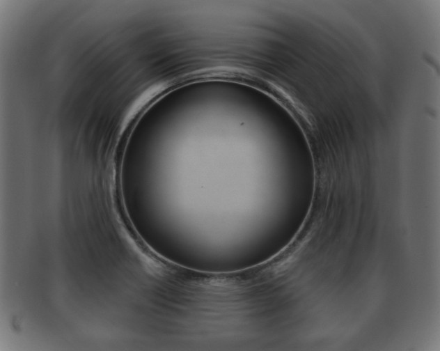 X0000091991418200709061211