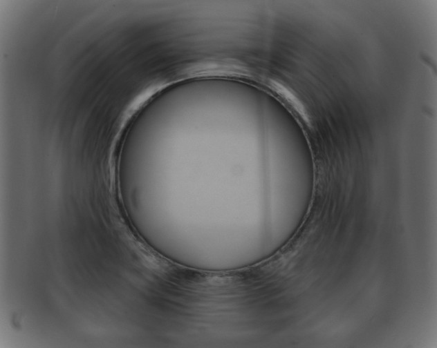 X0000091991419200709061211