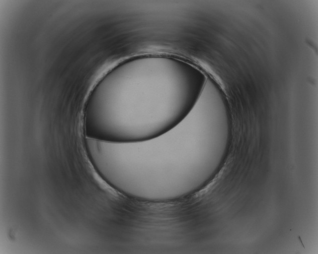X0000091991421200709061211