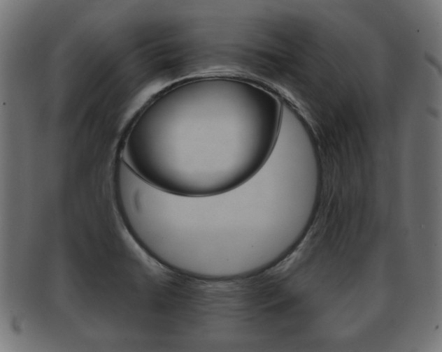 X0000091991422200709061211
