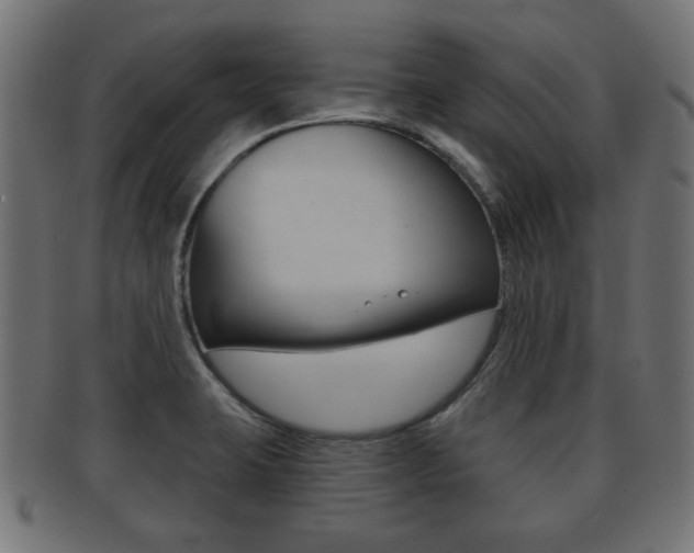 X0000091991423200709061211