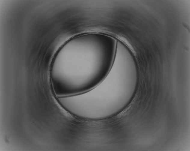 X0000091991424200709061211