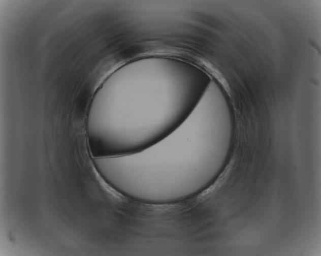 X0000091991425200709061212