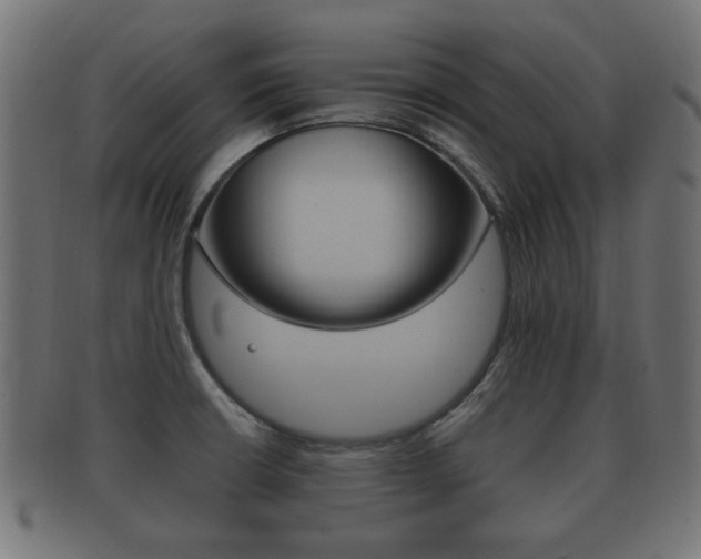 X0000091991426200709061212