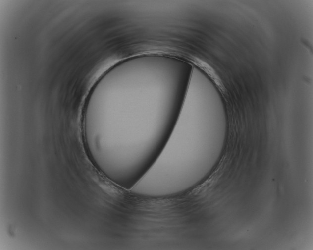 X0000091991427200709061212