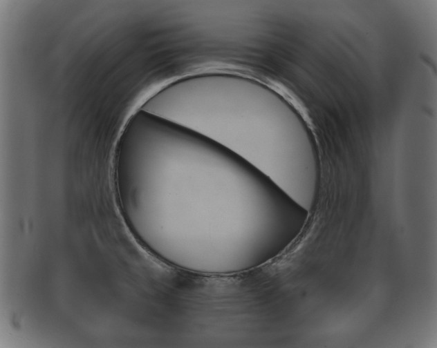 X0000091991429200709061212