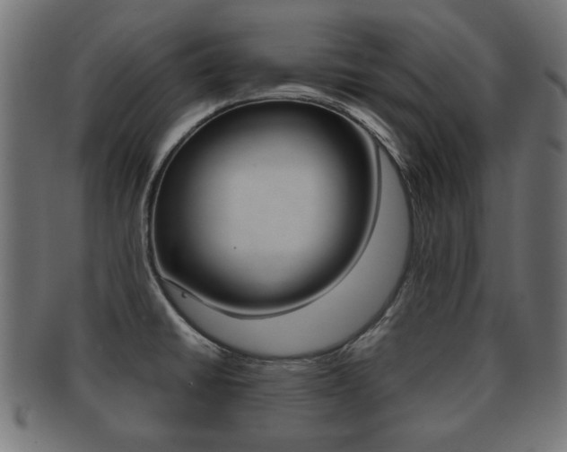 X0000091991430200709061212