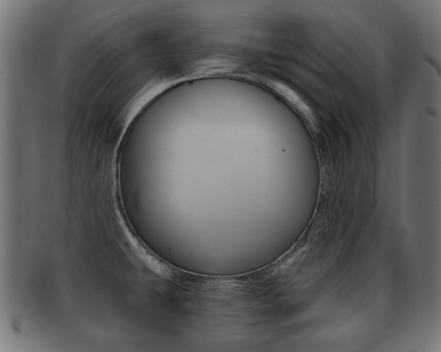 X0000091991431200709061212
