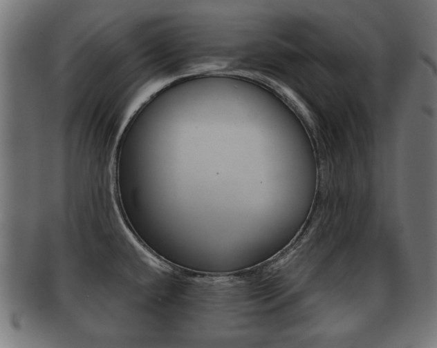 X0000091991432200709061212