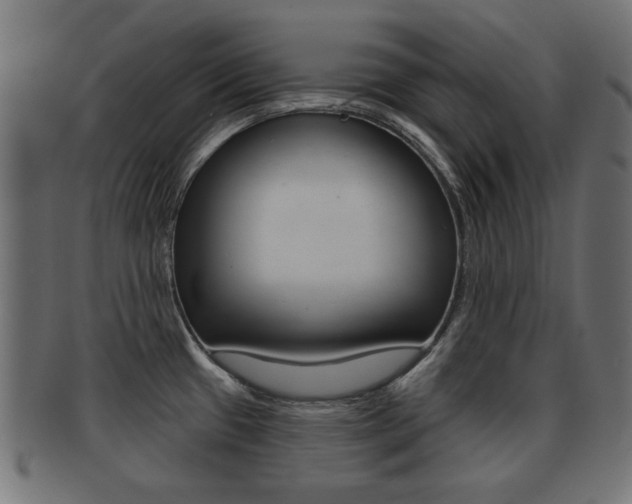 X0000091991433200709061212