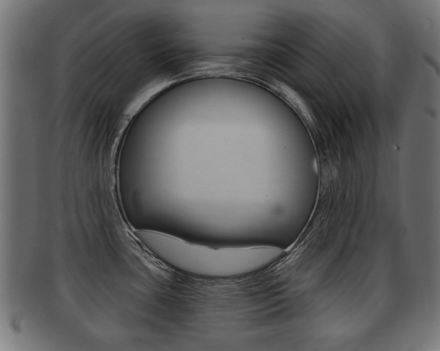 X0000091991435200709061212
