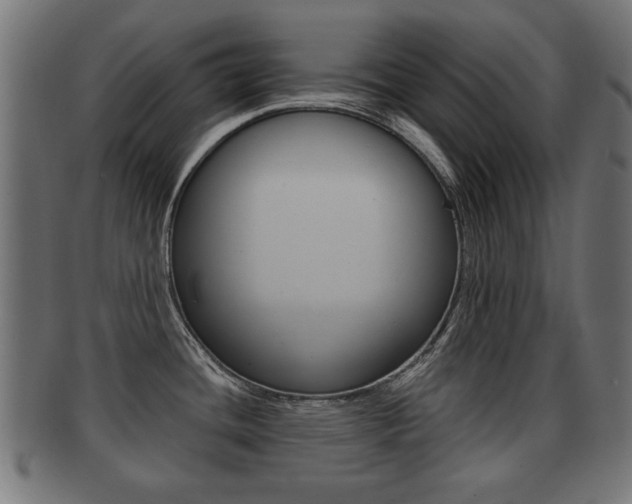 X0000091991436200709061212