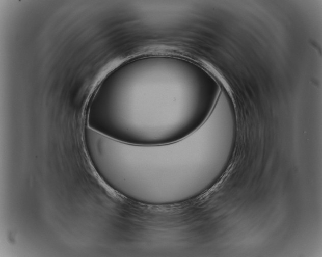X0000091991437200709061212
