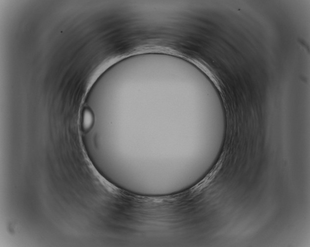 X0000091991438200709061212