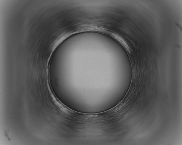 X0000091991439200709061212