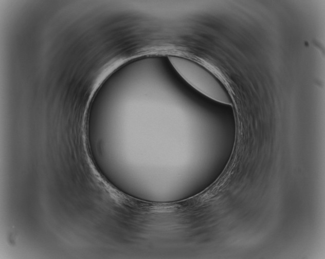 X0000091991440200709061212