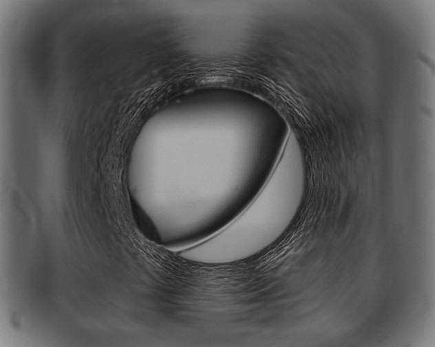 X0000091991441200709061211
