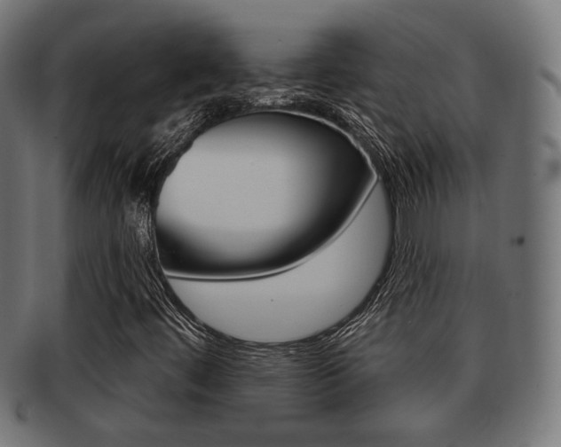 X0000091991444200709061211