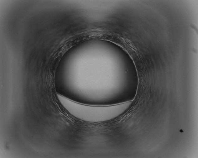 X0000091991445200709061211