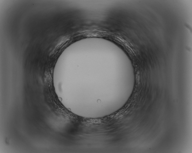 X0000091991446200709061211