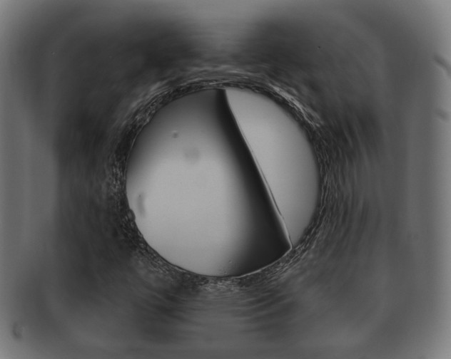 X0000091991447200709061211