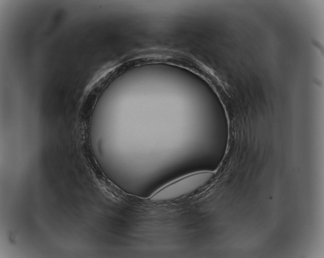X0000091991448200709061211