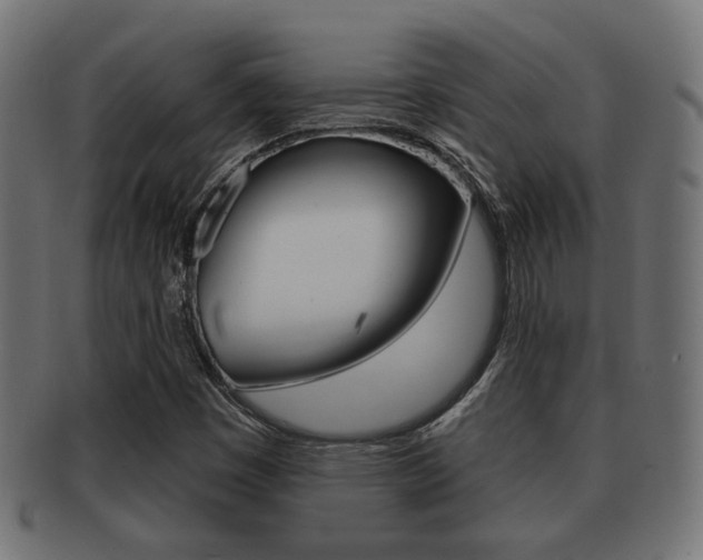 X0000091991449200709061211
