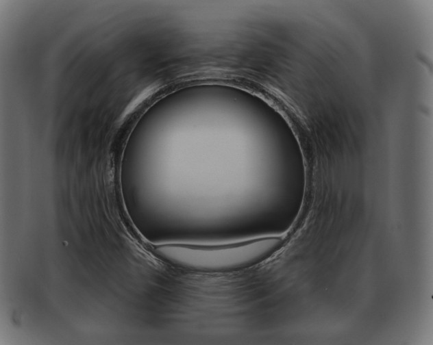 X0000091991450200709061211
